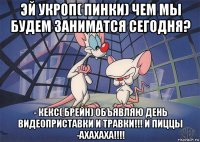 эй укроп( пинки) чем мы будем заниматся сегодня? - кекс( брейн) объявляю день видеоприставки и травки!!! и пиццы -ахахаха!!!!