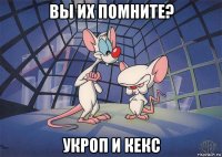 вы их помните? укроп и кекс