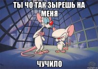 ты чо так зырешь на меня чучило