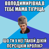 володимирівна,в тебе мама тігріца, шо ти у неї такой дікій пєрсіцкій кролік?