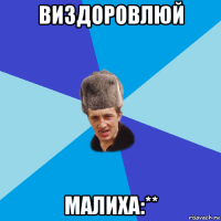 виздоровлюй малиха:**