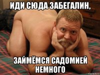 иди сюда забегалин, займёмся садомией немного