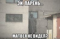  матвея не видел?