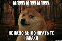 мяууу мяуу мяууу не надо было жрать те какахи