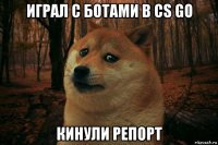 играл с ботами в cs go кинули репорт