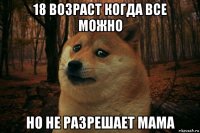 18 возраст когда все можно но не разрешает мама