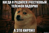 кагда я родился учестковый телефон падорил а это кирпи((