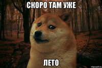 скоро там уже лето