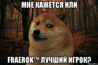 мне кажется или fraerok™ лучший игрок?