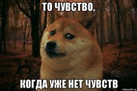 то чувство, когда уже нет чувств