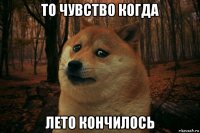 то чувство когда лето кончилось