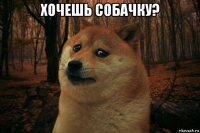 хочешь собачку? 