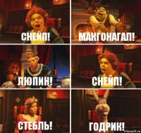 Снейп! Макгонагал! Люпин! Снейп! Стебль! Годрик!