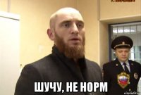  шучу, не норм