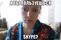 а ты пользуешься skype?