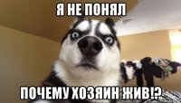 я не понял почему хозяин жив!?