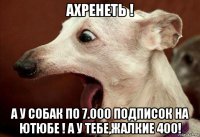 ахренеть ! а у собак по 7.000 подписок на ютюбе ! а у тебе,жалкие 400!