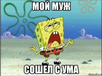 мой муж сошел с ума