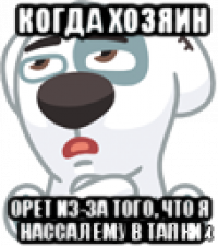 когда хозяин орет из-за того, что я нассал ему в тапки