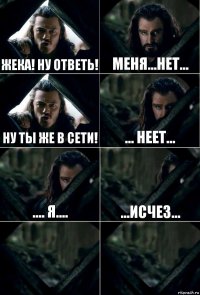 ЖЕКА! НУ ОТВЕТЬ! Меня...нет... НУ ТЫ ЖЕ В СЕТИ! ... неет... .... я.... ...исчез...  