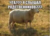 чта??? я слышал родственников??? 