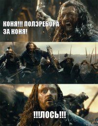 Коня!!! полэребора за коня!  !!!ЛОСЬ!!!