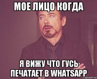 мое лицо когда я вижу что гусь печатает в whatsapp