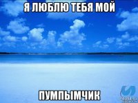 я люблю тебя мой пумпымчик