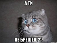 а ти не брешеш??