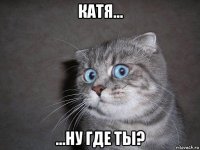 катя... ...ну где ты?