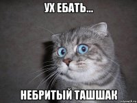 ух ебать... небритый ташшак