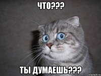 что??? ты думаешь???