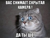 вас снимает скрытая камера ! да ты шо.