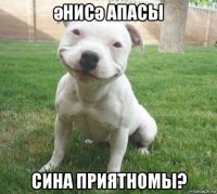 әнисә апасы сина приятномы?