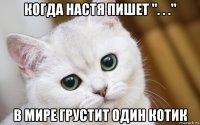 когда настя пишет ". . ." в мире грустит один котик