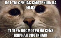 вот ты сейчас смотришь на меня теперь посмотри на себя жирная скотина!!!