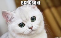 все свои! 