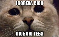 igorexa сюк люблю тебя