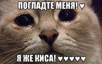 погладте меня! ♥ я же киса! ♥♥♥♥♥