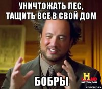 уничтожать лес, тащить все в свой дом бобры