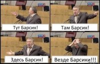 Тут Барсик! Там Барсик! Здесь Барсик! Везде Барсики!!!