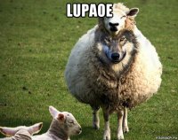 lupaoe 