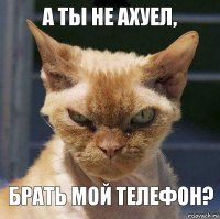 а ты не ахуел, брать мой телефон?