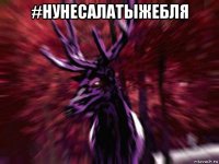 #нунесалатыжебля 