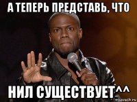 а теперь представь, что нил существует^^