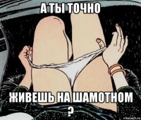 а ты точно живешь на шамотном ?