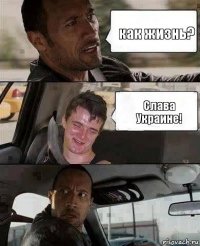 как жизнь? Слава Украине!