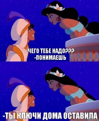 -чего тебе надо???
-понимаешь -ты ключи дома оставила