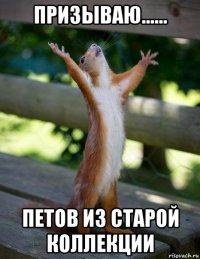 призываю...... петов из старой коллекции