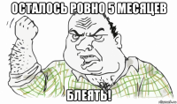 осталось ровно 5 месяцев блеять!